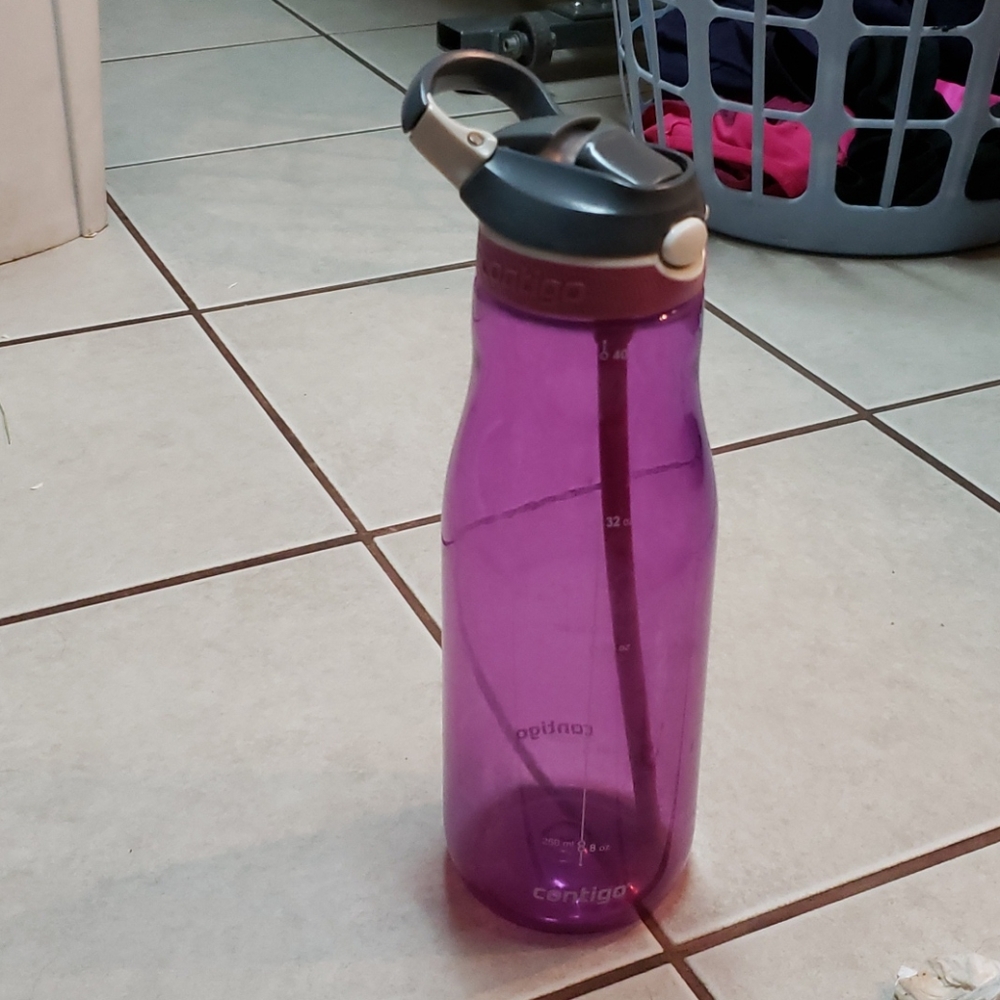 Contigo water jug